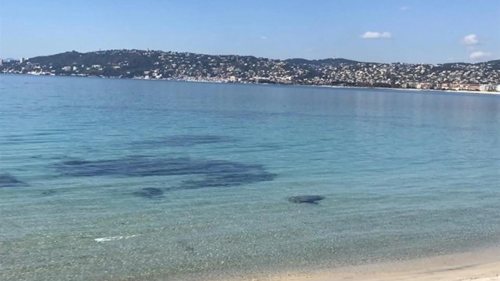 Appartement 2P Avec Terrasses, Parking Prive, A 100M Des Plages - Juan-Les-Pins - Fr-1-252-196 Antibes 0*,  France